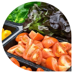 Food Safety Monitoring