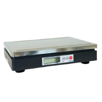 Scale