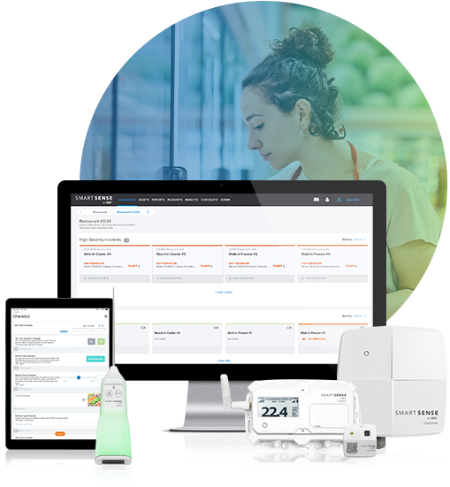 Web Based Temperature Monitoring, Web Temperature Monitor System